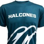 Halcones-3