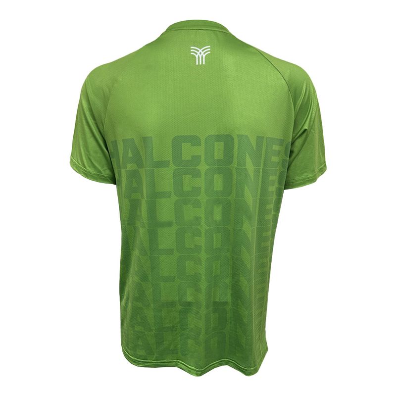 VolleyLimon-2
